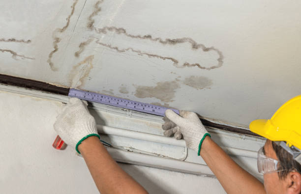 Reliable Mold Remediation contractor in Adamsville, TN by Water Damage Irwin